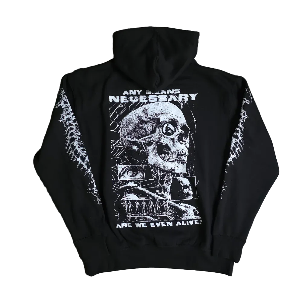Are We Even Alive Pullover Hoodie