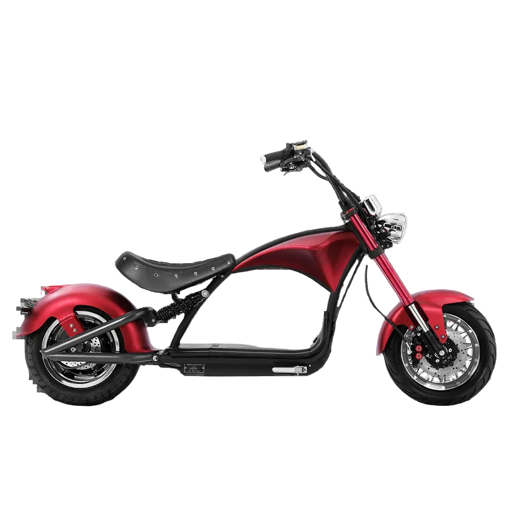 Electric Bicycle