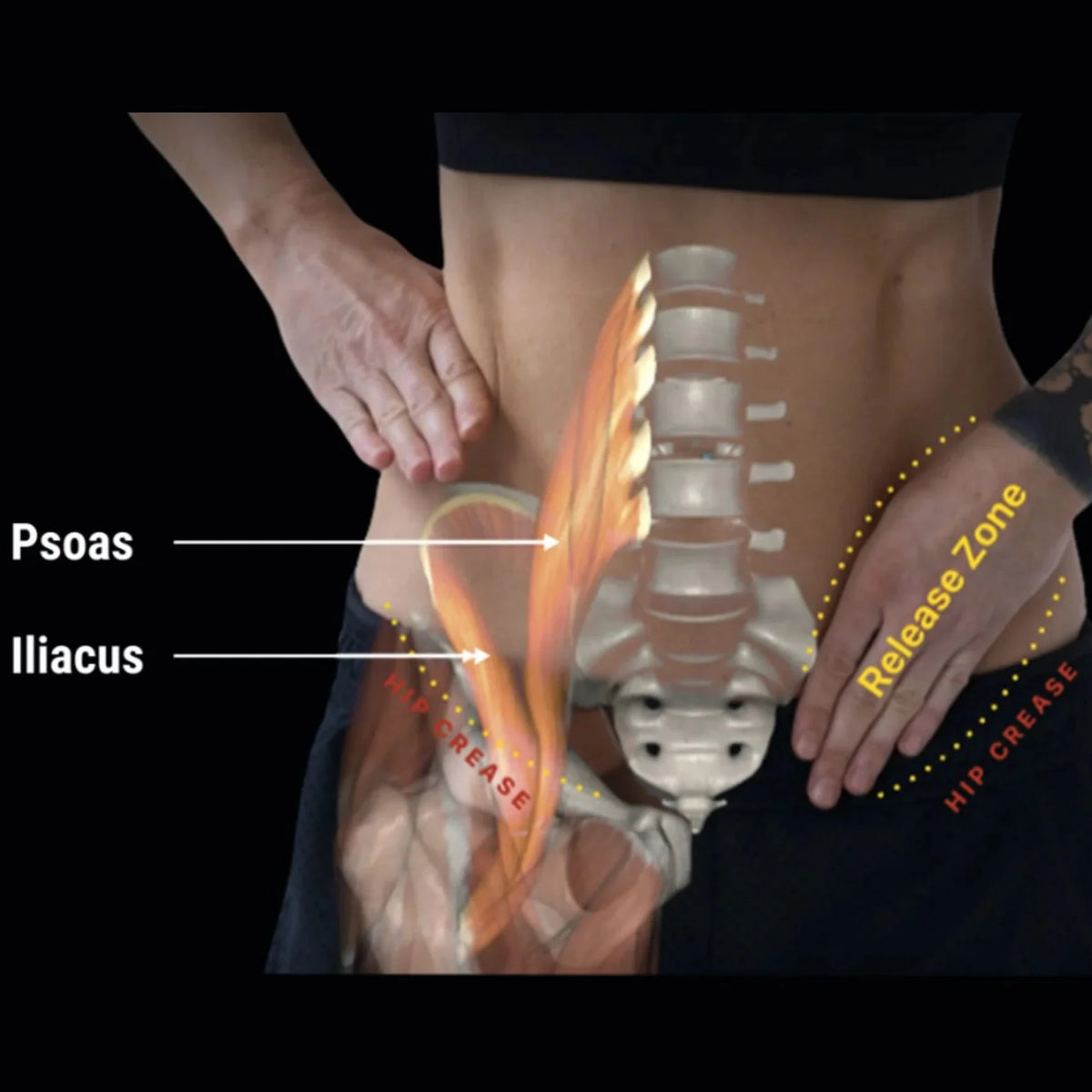 Deep Hip Flexor Massage System