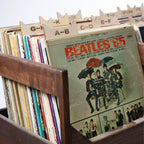 Baltic Birch Vinyl Record Dividers