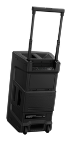 Portable 8-Inch DJ Speaker